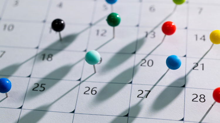 Close-up of coloured pins marking multiple dates on a calendar